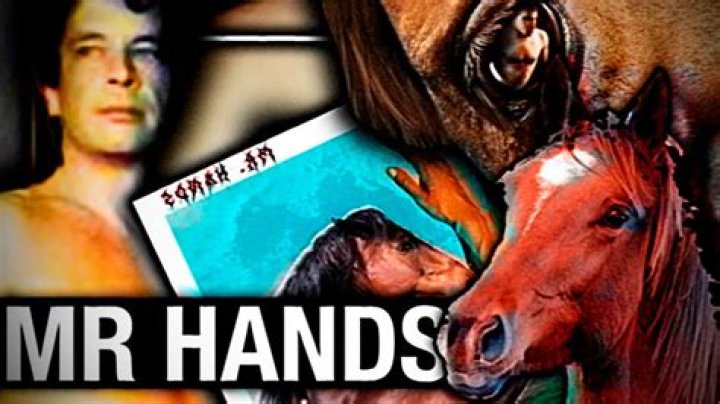 Exploring The "michael Hanley Horse Video Mr Hands Original" Phenomenon