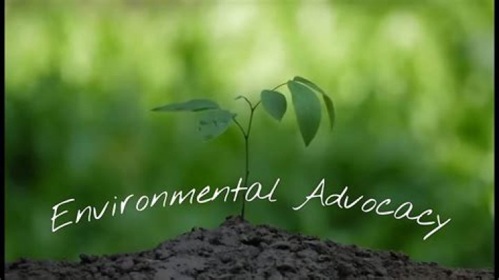 Uncovering The Secrets Of Environmental Advocacy