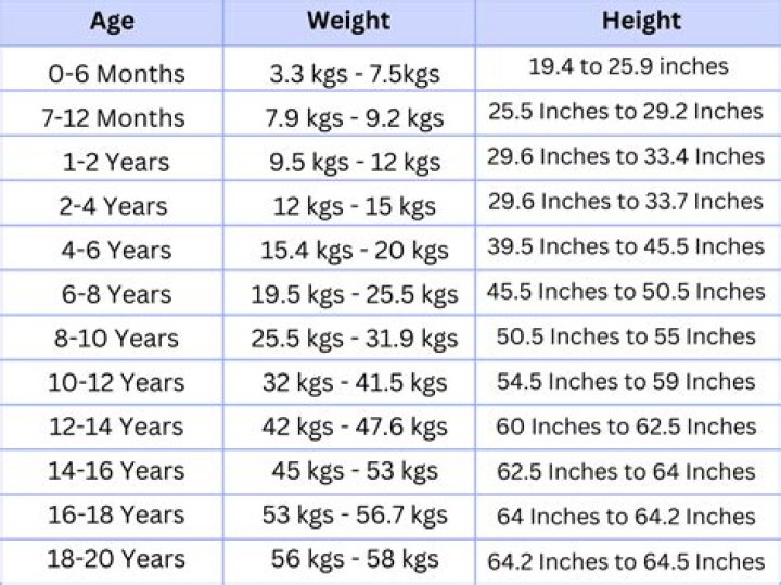 Unveiling Fat Joe's Dimensions: Height, Weight, And Beyond
